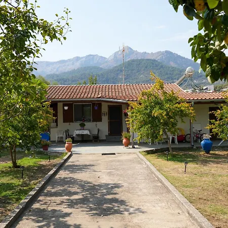 Olive Summer House Hébergement de vacances