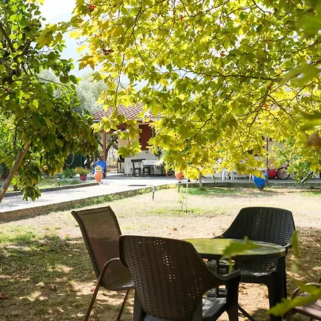 Hébergement de vacances Olive Summer House *