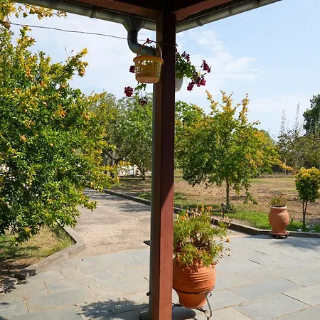 Olive Summer House * Chrysi Ammoudia