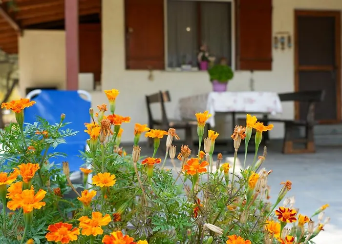 Olive Summer House * Chrisi Ammoudia