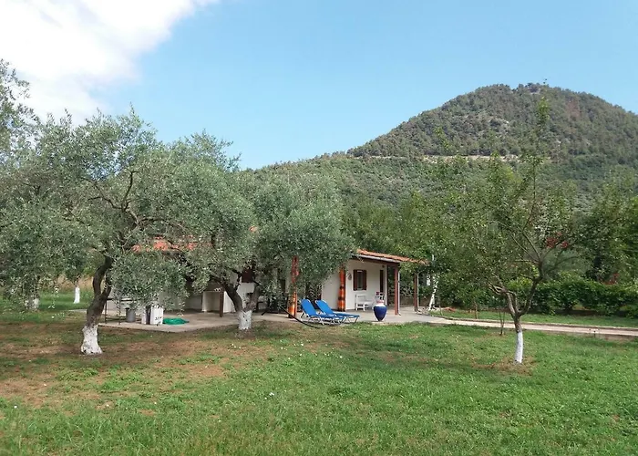 Olive Summer House Semesterbostad