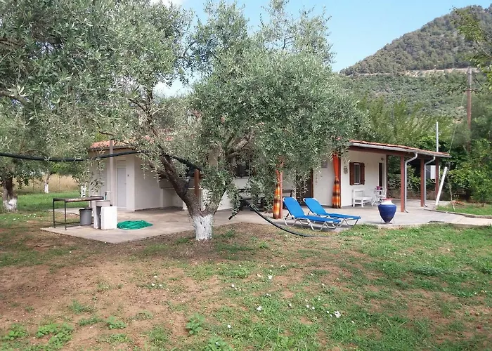 Semesterbostad Olive Summer House *