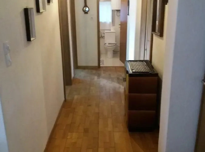 Olive Summer House *