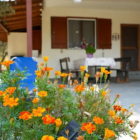 Olive Summer House * Chrysi Ammoudia