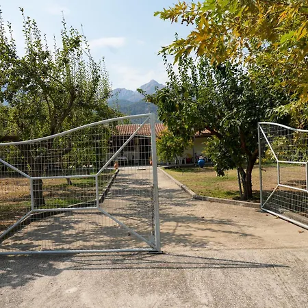 Vakantiehuis Olive Summer House