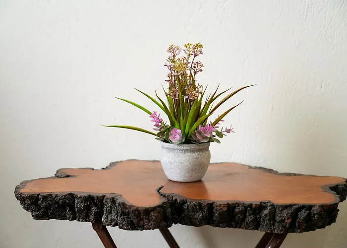 Olive Summer House *