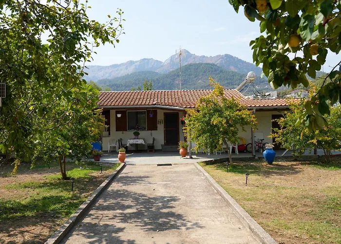 Olive Summer House Σπίτι διακοπών