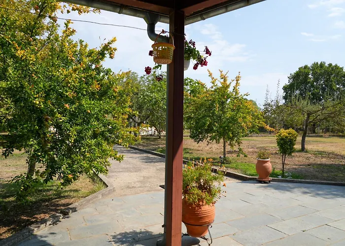 Olive Summer House * Χρυσή Αμμουδιά