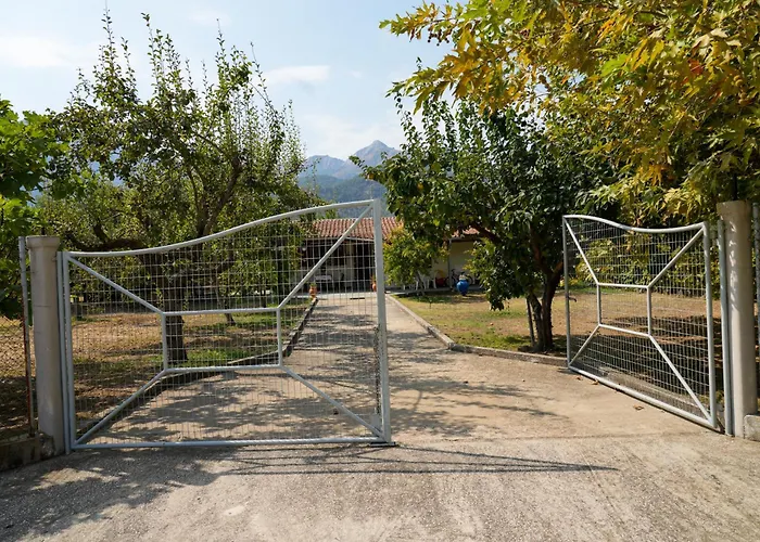 Σπίτι διακοπών Olive Summer House